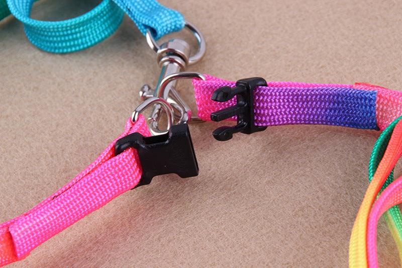 Leashes colorful leashes Daring Pet