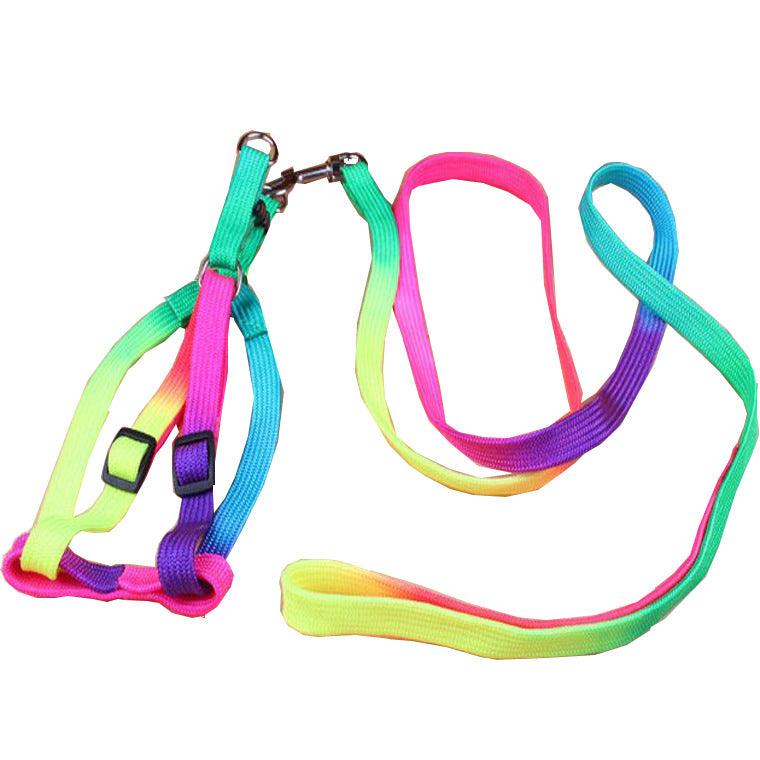 Leashes colorful leashes Daring Pet