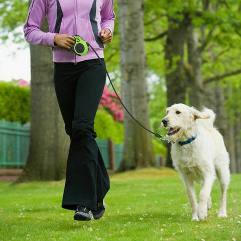 Automatic Retractable Dog Leash Pet Collar Automatic Walking Lead FreeLeash Daring Pet