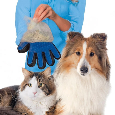 Cat Grooming Glove For Cats Wool Glove Pet Hair Deshedding Brush Comb Glove For Pet Dog Cleaning Massage Glove For Animal Sale Daring Pet