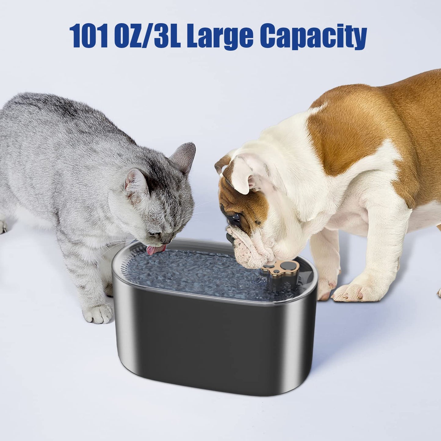 dog water dispenser
