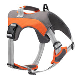 chest strap dog harness