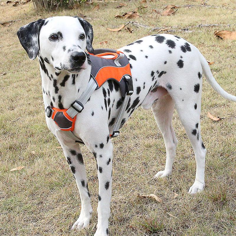 Chest Straps Reflective Vests Pet Leashes Dog Leashes Daring Pet