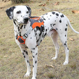 Chest Straps Reflective Vests Pet Leashes Dog Leashes Daring Pet