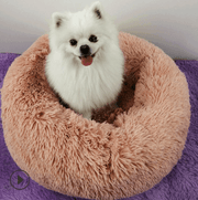 Small Pet Bed For Small Dogs & Cats