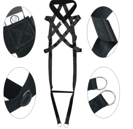 best dog training leash