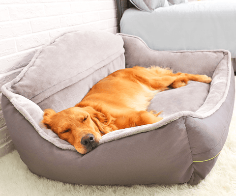 Dog bed