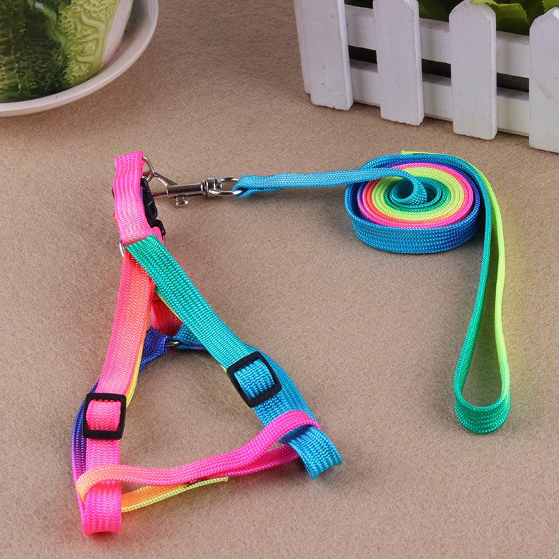 Leashes colorful leashes Daring Pet