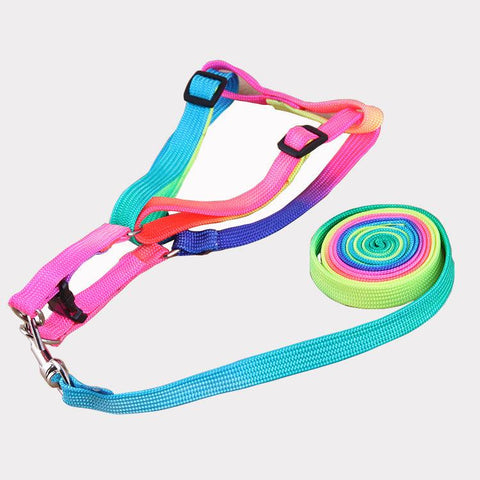 Leashes colorful leashes Daring Pet