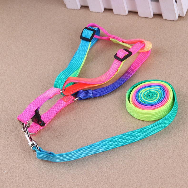 Leashes colorful leashes Daring Pet