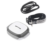 Pet Locator Collar