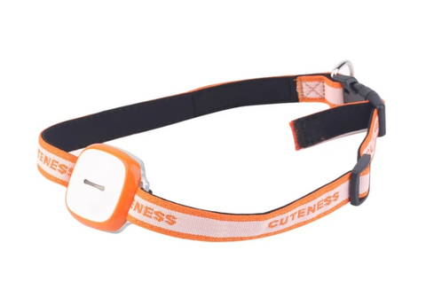 Locator pet Daring Pet