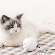Automatic Interactive Cat Ball Toy 