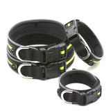 Pet Safe Wireless Collars